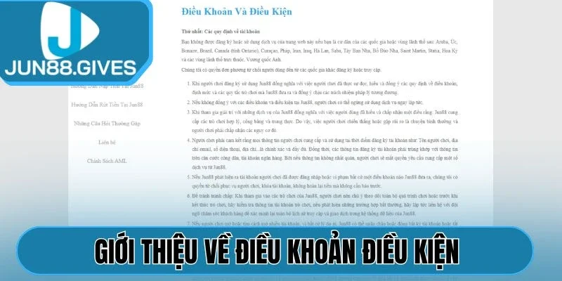 Giới thiệu về điều khoản điều kiện