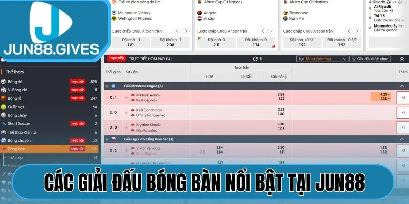 Các giải đấu bóng bàn nổi bật tại Jun88