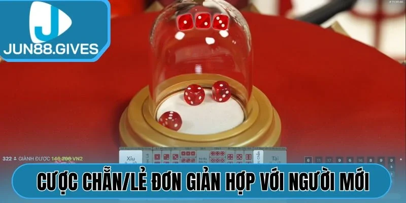 Cược chẵn/lẻ đơn giản hợp với người mới