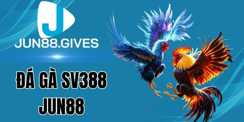 Tỷ lệ cược Đá gà SV388 Jun88