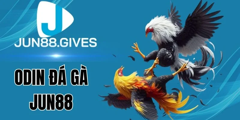 Quy định thưởng tại Odin đá gà Jun88