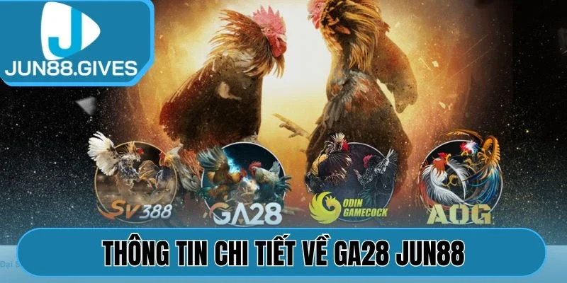 Thông tin chi tiết về GA28 Jun88